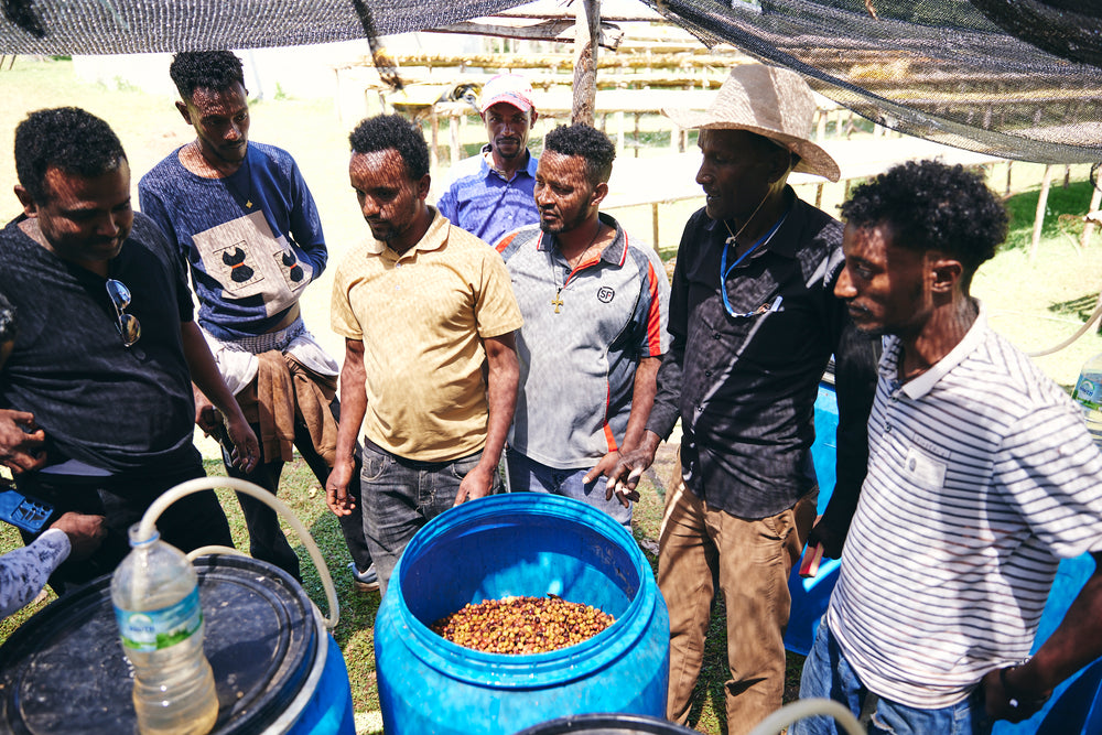 
                  
                    YAYE | Special Prep Natural | 74158 | Sidama, Ethiopia | Filter | 200g
                  
                