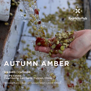 
                  
                    AUTUMN AMBER | Washed Catimor | Qiu Po Estate, Lin Cang, Yunnan, China | Filter | 200g
                  
                