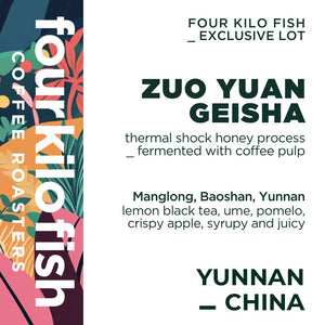 
                  
                    EXCLUSIVE LOT | HONEY GEISHA | FOUR KILO FISH ✖️ZUO YUAN | FILTER 100G
                  
                