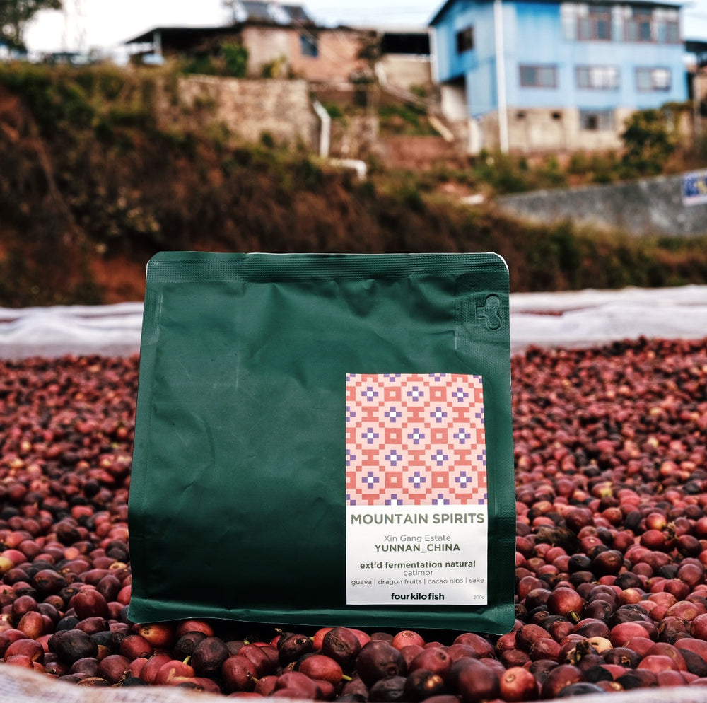Single Origin Coffee | Yunnan – Four Kilo Fish Coffee