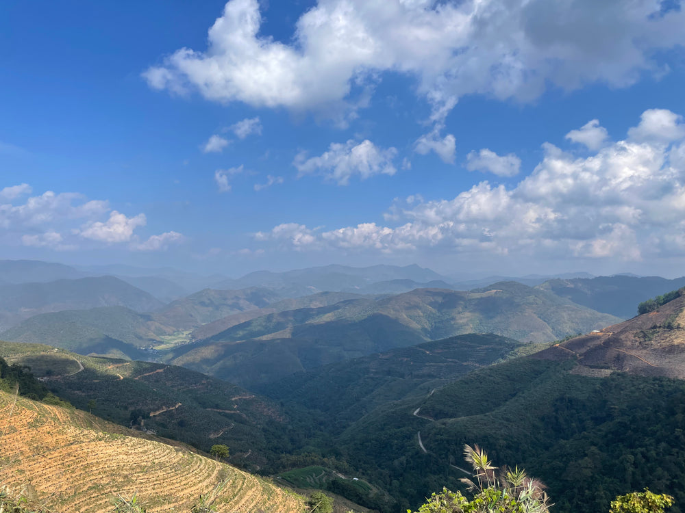 
                  
                    YI WU 易武 | SKY ESTATE | Natural Yeast Fermented Natural | Xishuang Banna, YUNNAN | 200g
                  
                